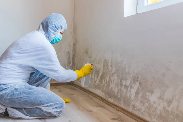 Hvac And Air Duct Mold Remediation inspection of HVAC system in Bushwood