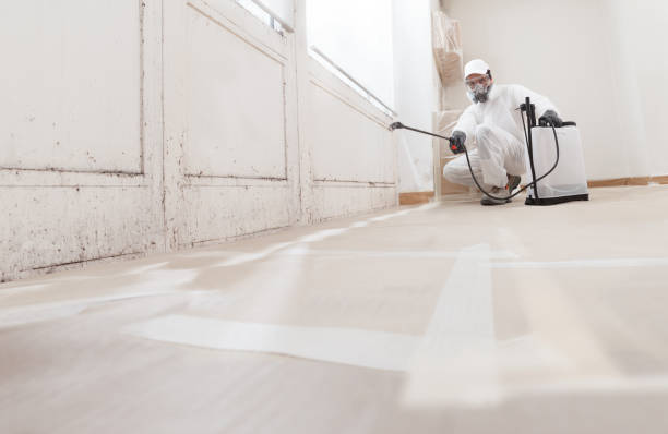 Black mold remediation team in Bushwood